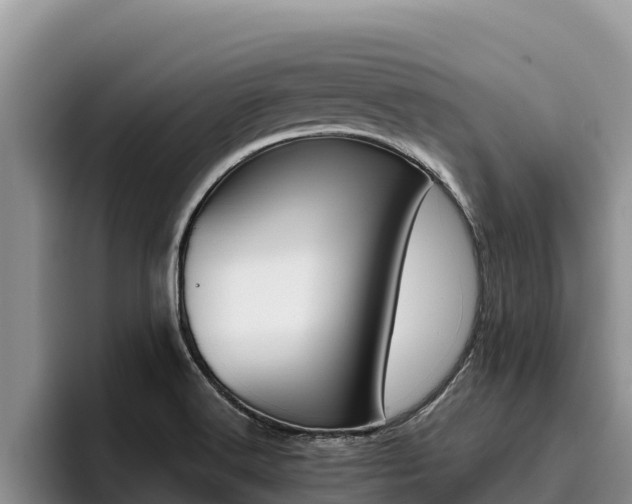 X0000096221516200801181019