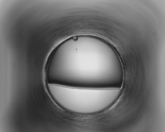 X0000096221517200801181019