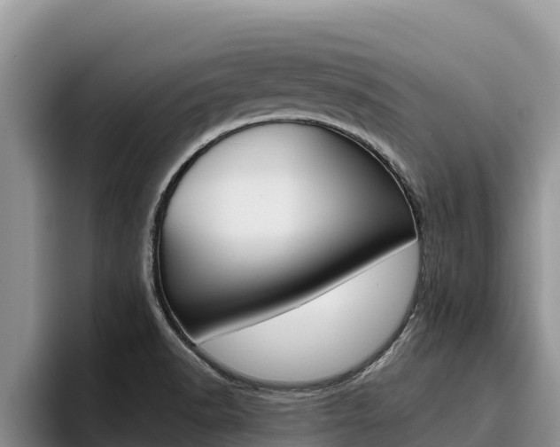 X0000096221518200801181019