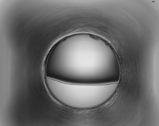 X0000096221519200801181019
