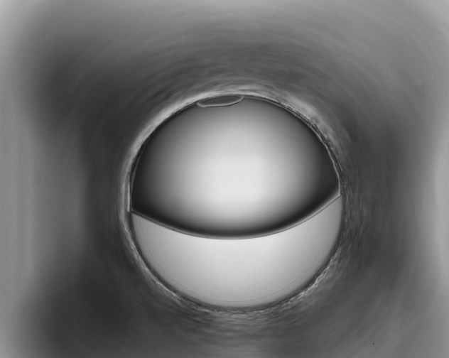 X0000096221520200801181019