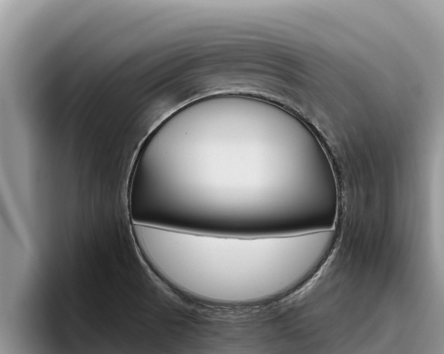 X0000096221521200801181019