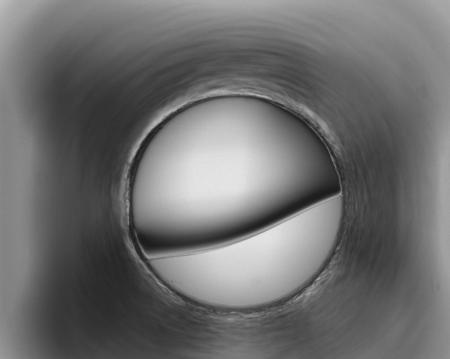 X0000096221522200801181019