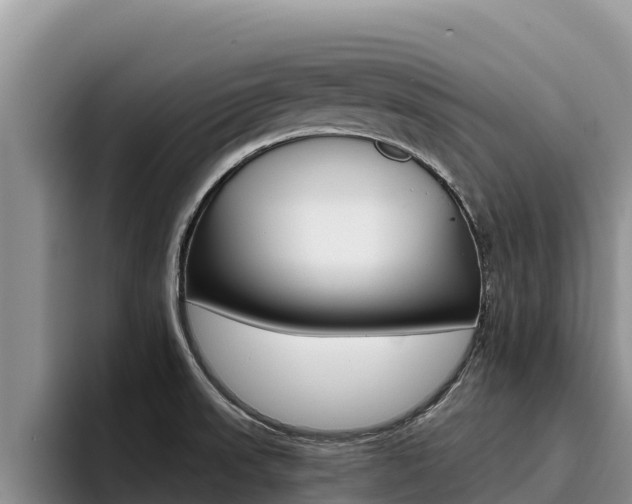X0000096221523200801181019
