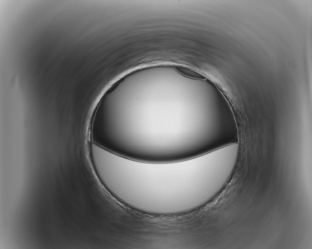 X0000096221524200801181019