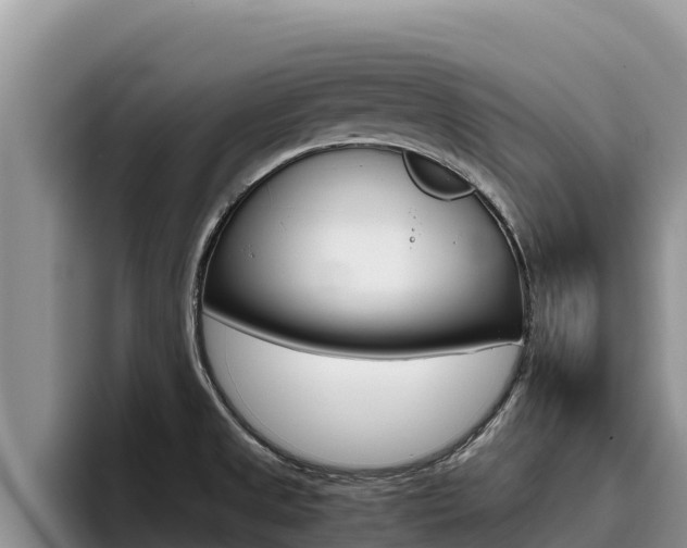 X0000096221525200801181019