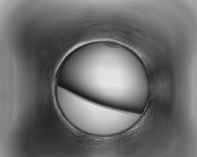 X0000096221526200801181019
