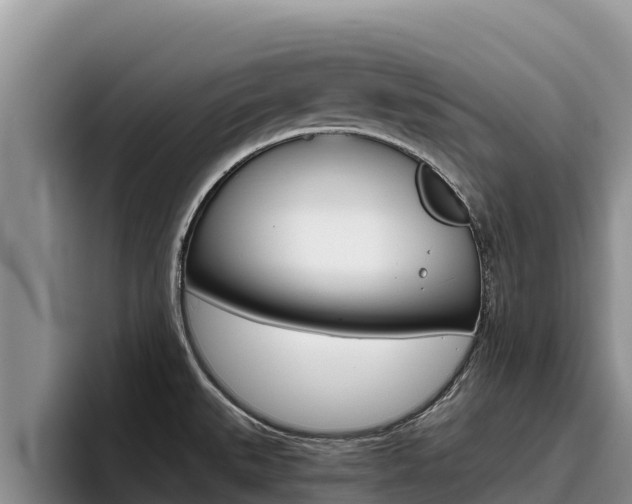 X0000096221527200801181019