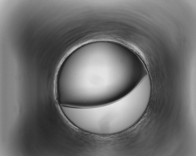 X0000096221528200801181019