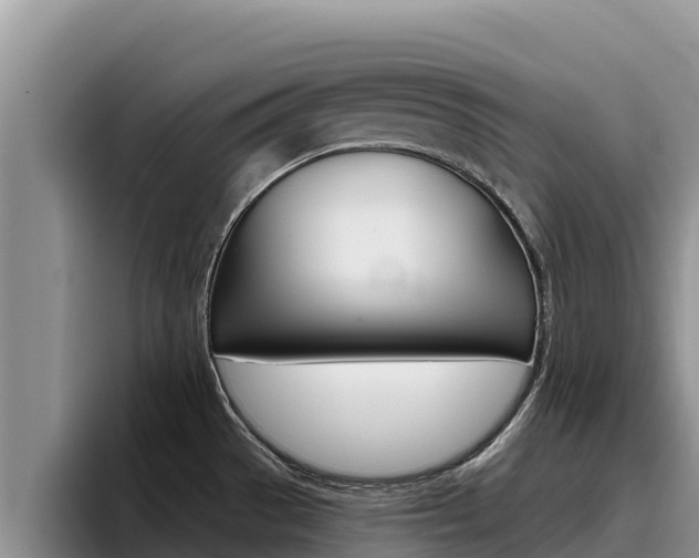 X0000096221529200801181019