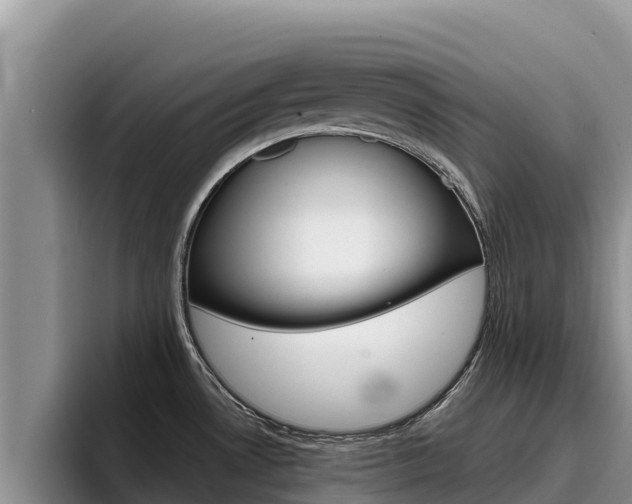 X0000096221530200801181019