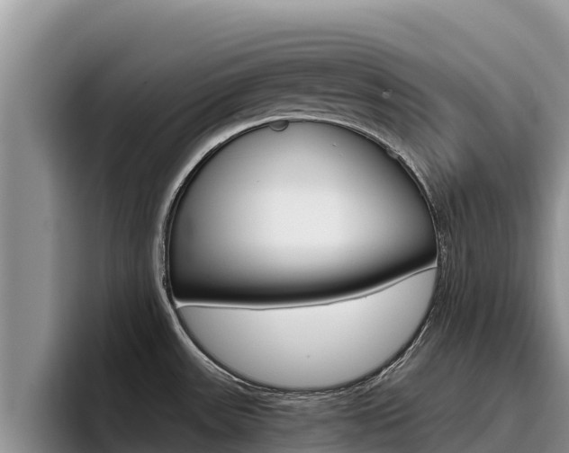 X0000096221531200801181019
