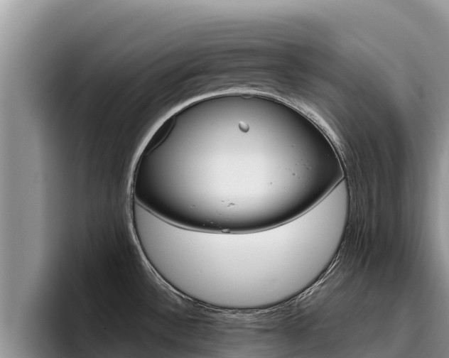 X0000096221532200801181019