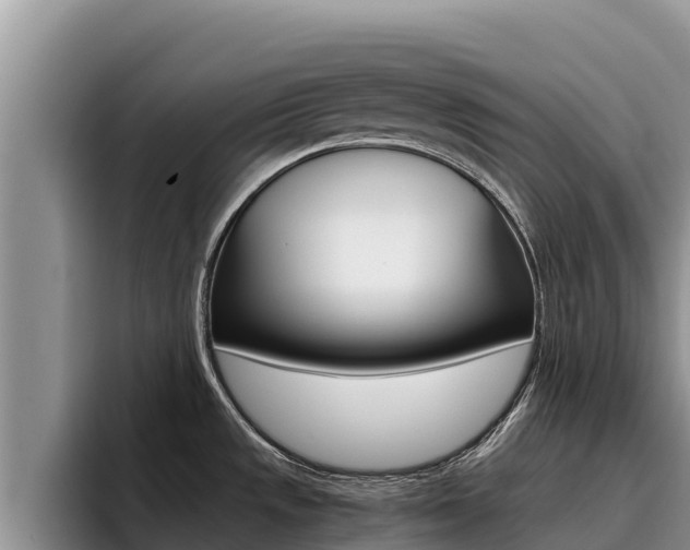X0000096221533200801181019