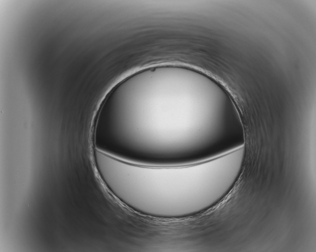 X0000096221534200801181019