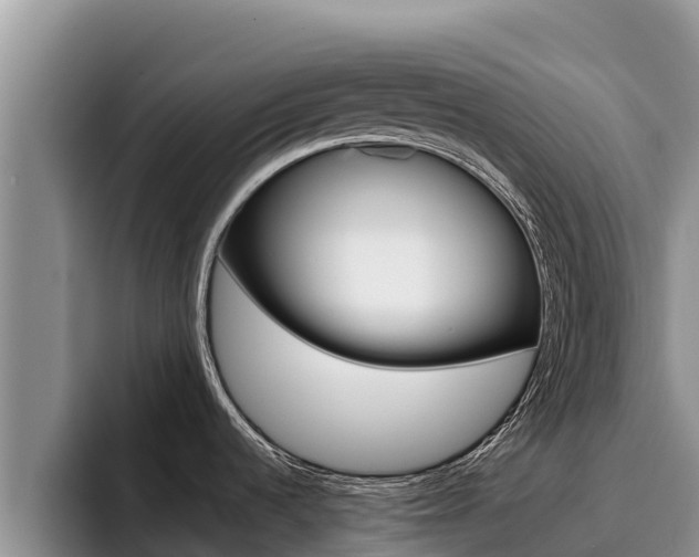 X0000096221536200801181019