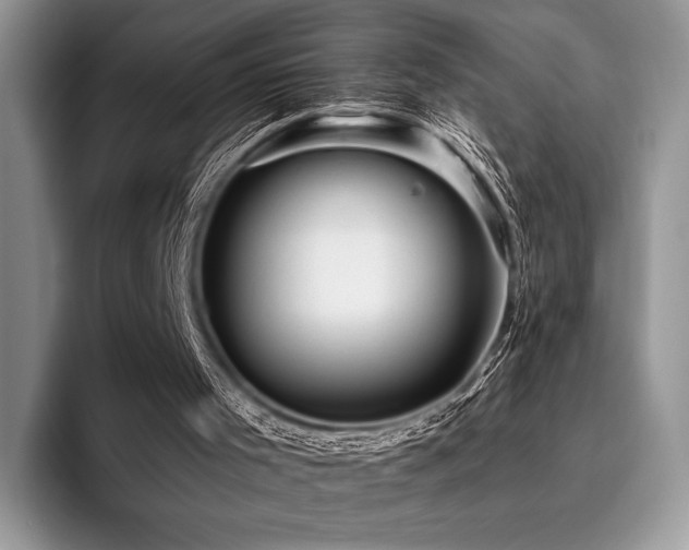 X0000096220001200801181500