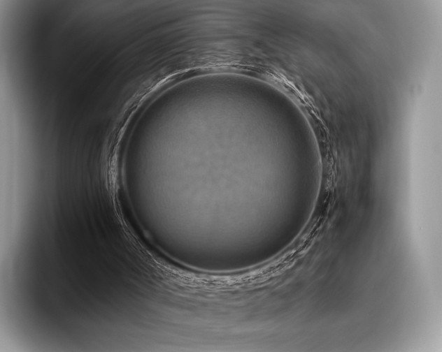 X0000096220002200801181500