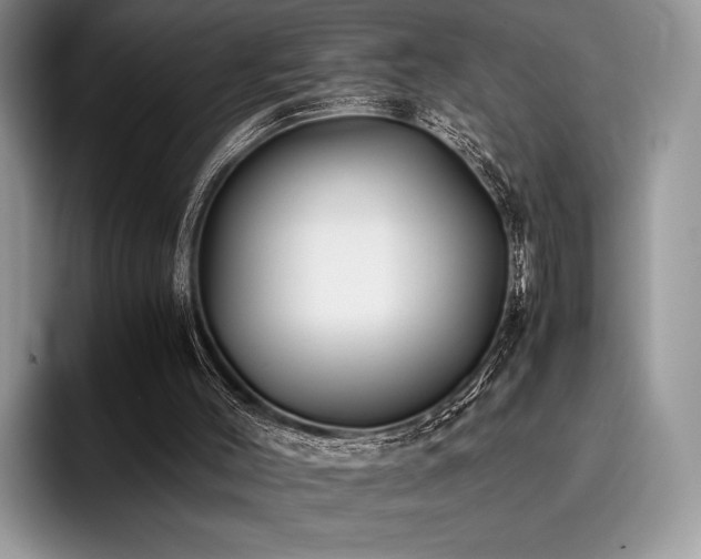 X0000096220004200801181500