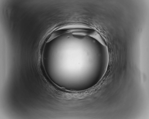 X0000096220005200801181500