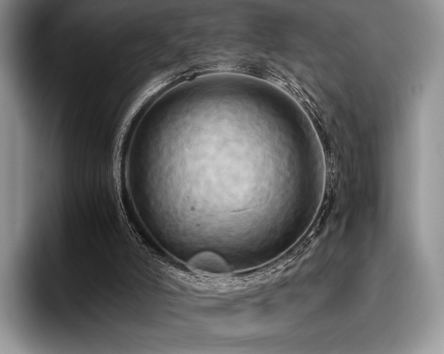 X0000096220006200801181500