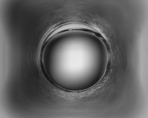 X0000096220007200801181500