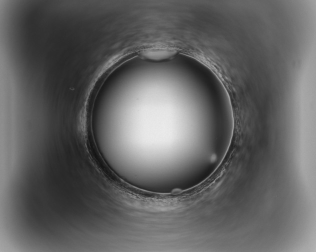 X0000096220008200801181500