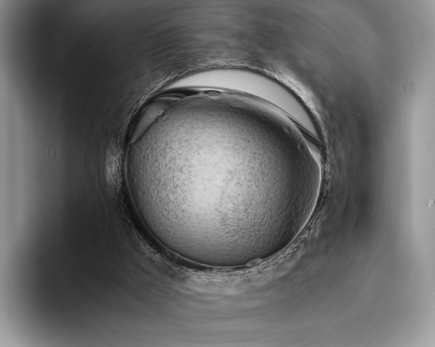 X0000096220009200801181500