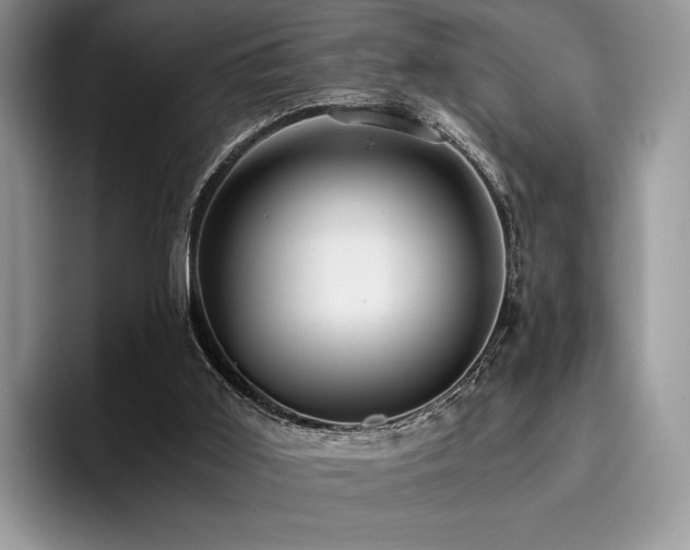 X0000096220011200801181500