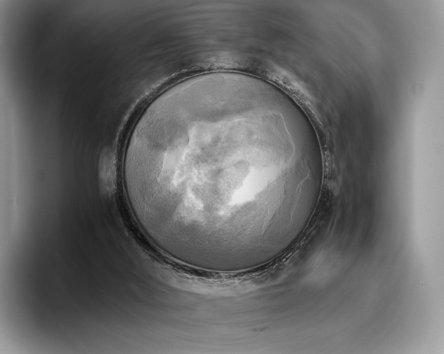 X0000096220012200801181500