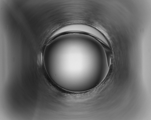 X0000096220013200801181500