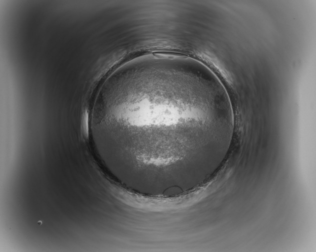 X0000096220014200801181500