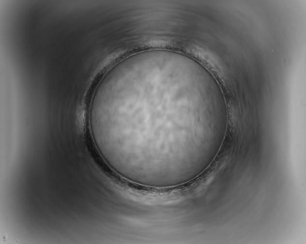 X0000096220016200801181500