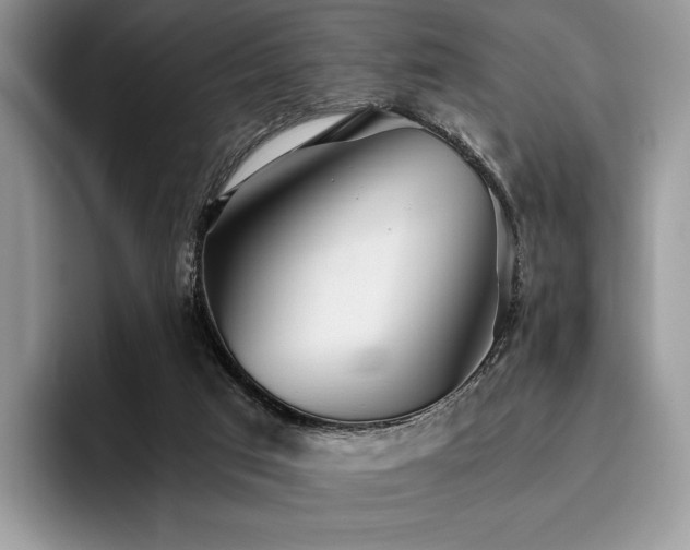 X0000096220017200801181500