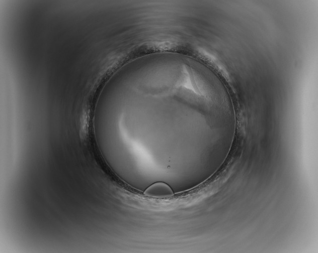 X0000096220018200801181500