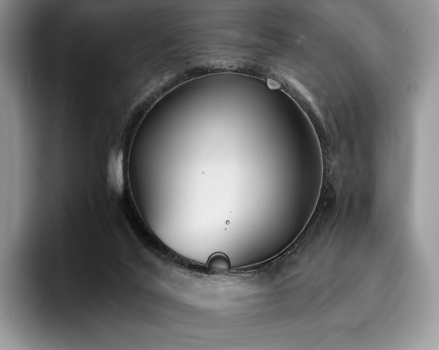 X0000096220020200801181459