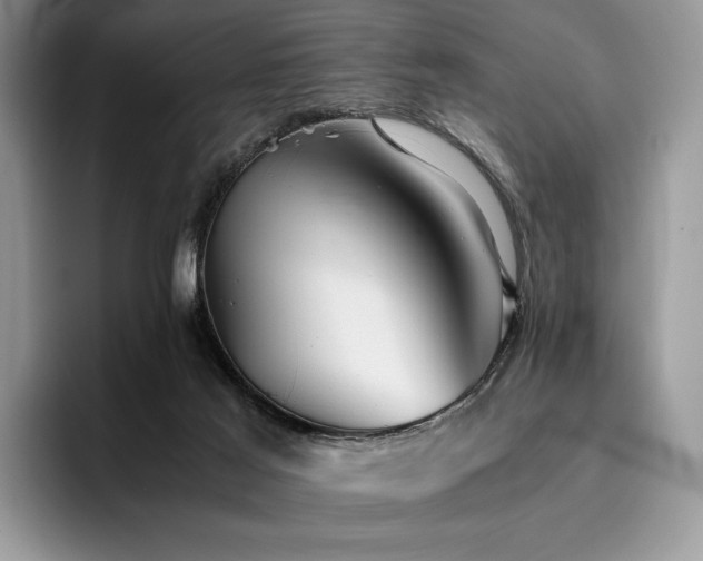 X0000096220021200801181459