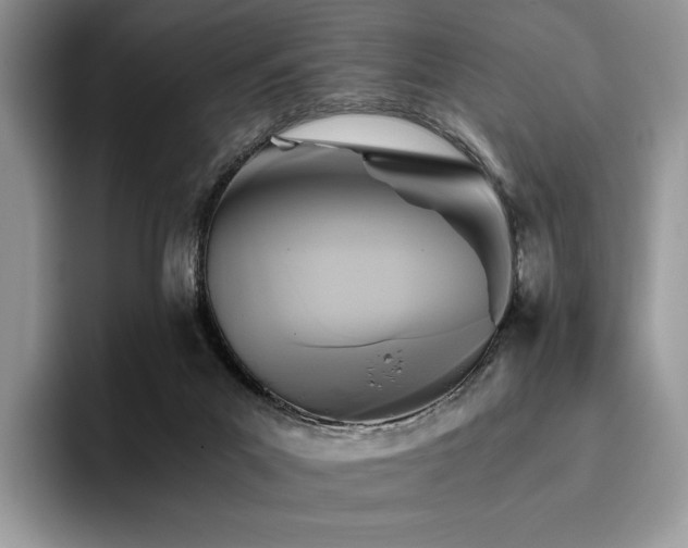 X0000096220023200801181459