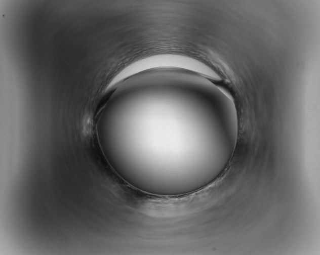 X0000096220025200801181459