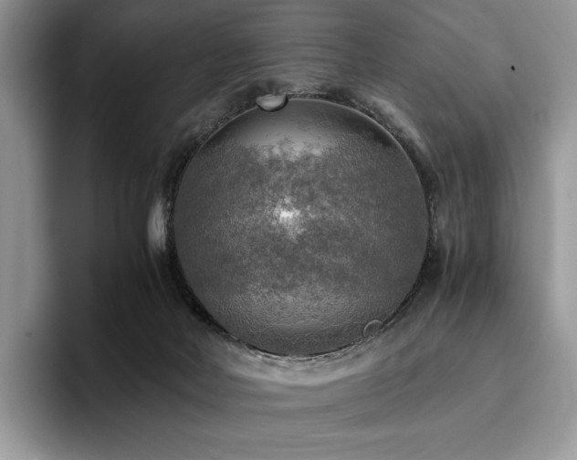 X0000096220026200801181459