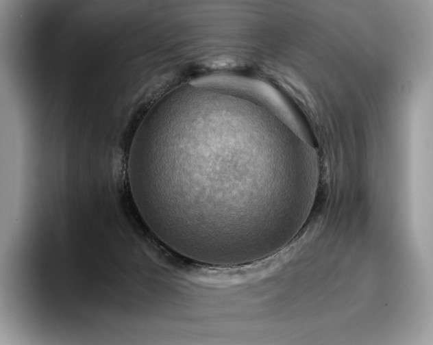 X0000096220029200801181459