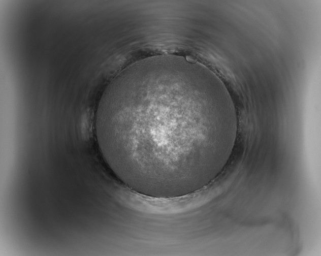 X0000096220030200801181459