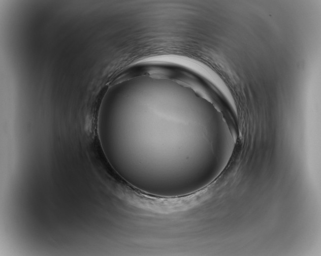 X0000096220031200801181459