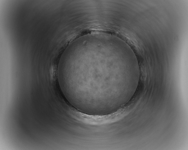 X0000096220034200801181459