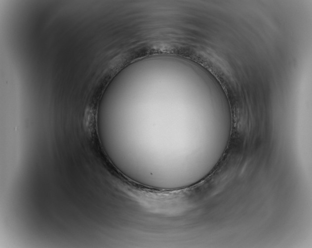 X0000096220036200801181459