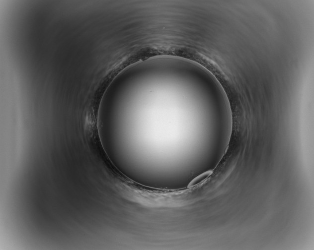 X0000096220040200801181459