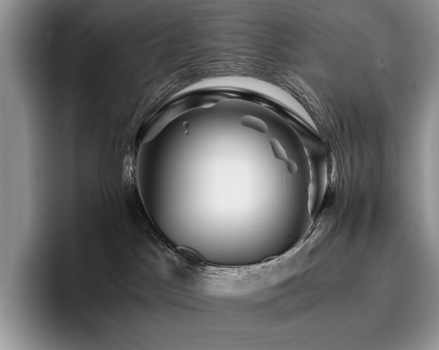 X0000096220045200801181459