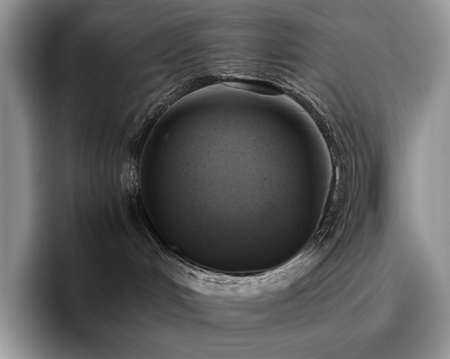 X0000096220048200801181459