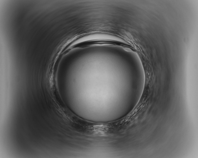 X0000096220050200801181459