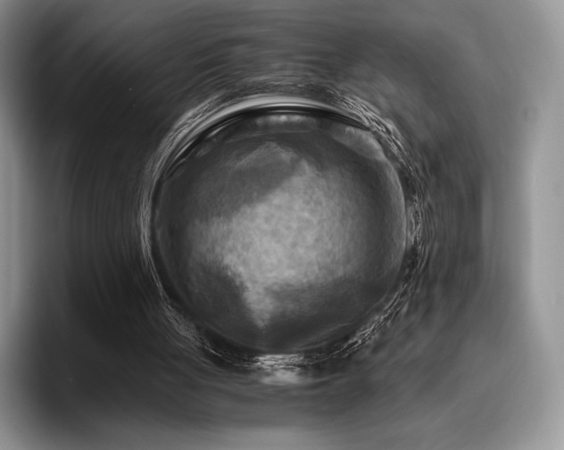 X0000096220051200801181459